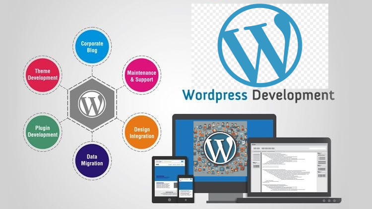 WordPress Dev